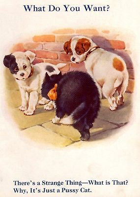 "My Puppy Playmates"  by Sam'l - 1931 - "PUPPIES & CAT" - Sandtique-Rare-Prints and Maps