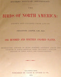 Studer's Birds -1878 - "ROAD RUNNER & COCK" - Chromolithograph