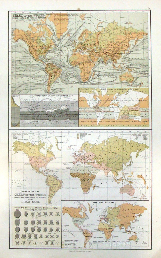 Antique Map - "CHART OF THE WORLD - Human Race" by A. & C. Black - Chromolithograph - 1870