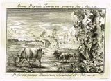Gualteri's Print - INDEX TESTARUM CONCHYLIORUM - FRONISPIECE - Engraving - 1742