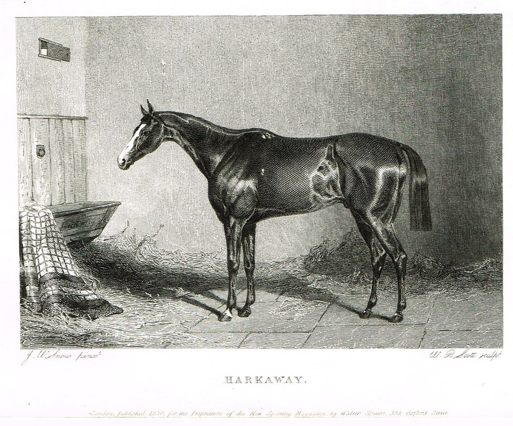 Ackermann's Sporting Magazine - HORSES - "HARKAWAY" - Steel Engraving - c1838 - Sandtique-Rare-Prints and Maps