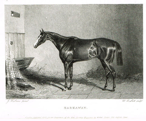 Ackermann's Sporting Magazine - HORSES - "HARKAWAY" - Steel Engraving - c1838 - Sandtique-Rare-Prints and Maps