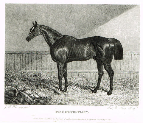 Ackermann's Sporting Magazine - HORSES - "PLENIPOTENTIARY" - Steel Engraving - c1838 - Sandtique-Rare-Prints and Maps