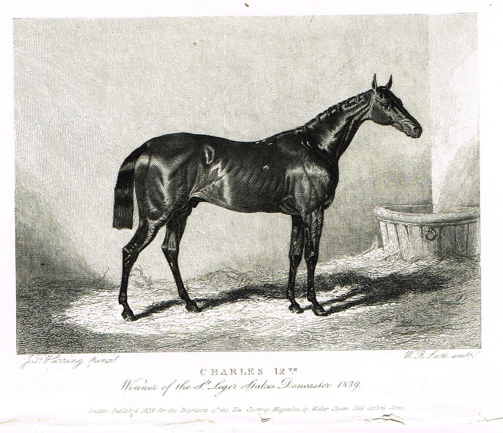 Ackermann's Sporting Magazine - HORSES - "CHARLES 12th" - Steel Engraving - c1838 - Sandtique-Rare-Prints and Maps
