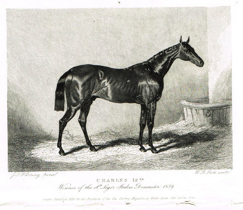 Ackermann's Sporting Magazine - HORSES - "CHARLES 12th" - Steel Engraving - c1838 - Sandtique-Rare-Prints and Maps