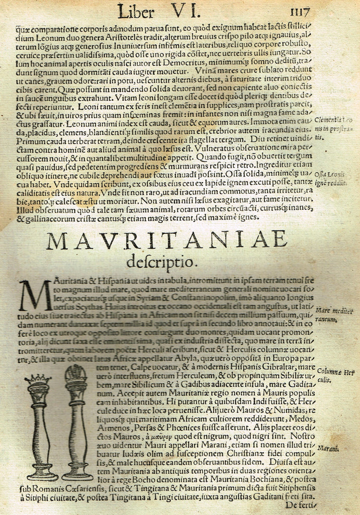 Sebastian Munster's Cosmographia - "BOTANICAL SHIELD" - Woodcut - c1580