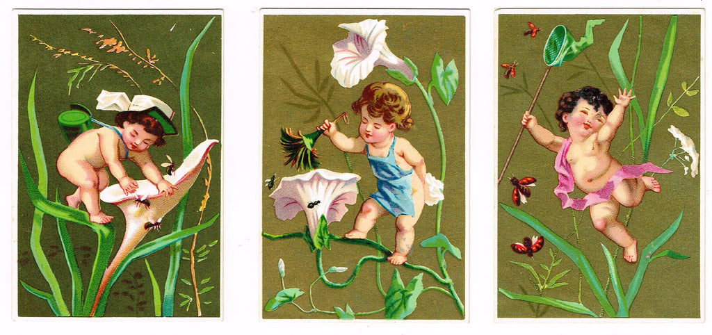 Antique Ephemera -  "THREE FAIRY & FLOWER CARDS" - Chromolithograph - c1900