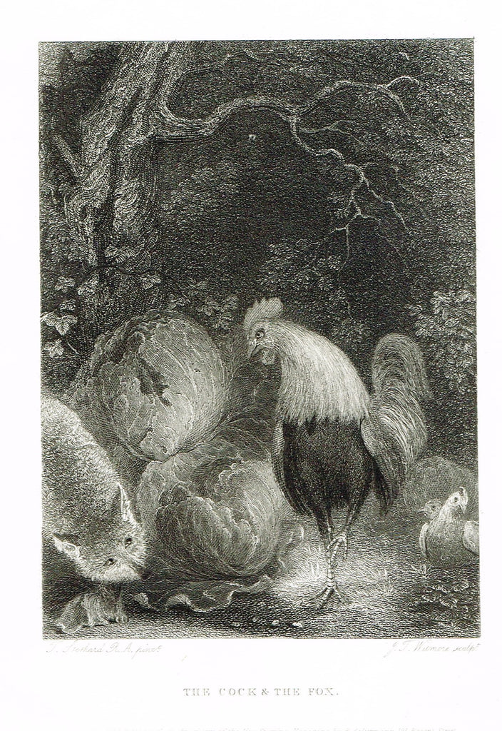 Ackermann's Sporting Magazine - Birds & Hunting - "THE COCK & THE FOX" - Steel Engraving - c1838 - Sandtique-Rare-Prints and Maps