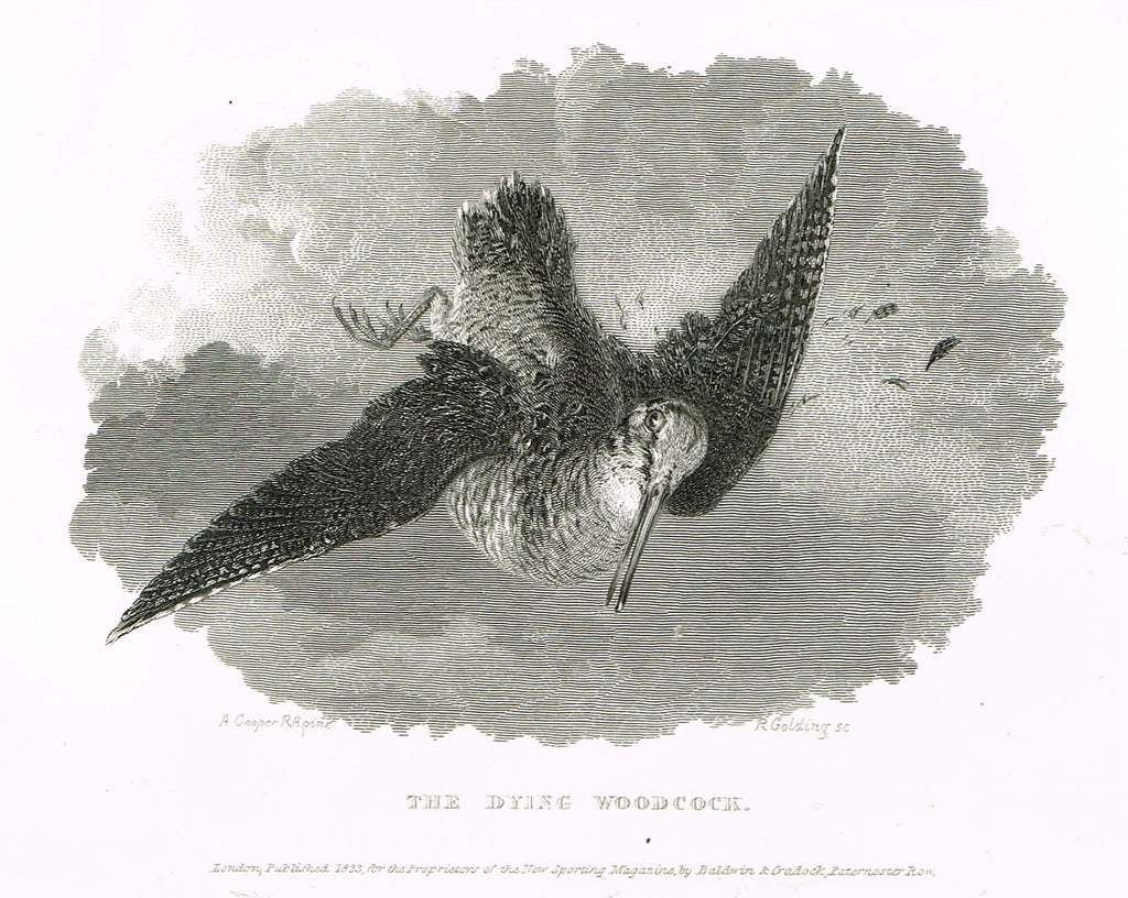 Ackermann's Sporting Magazine - Birds & Hunting - "THE DYING WOODCOCK" - Steel Engraving - c1838 - Sandtique-Rare-Prints and Maps