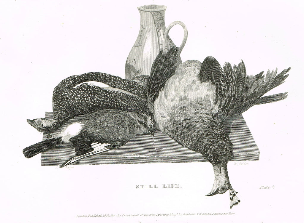 Ackermann's Sporting Magazine - Birds & Hunting - "STILL LIFE" - Steel Engraving - c1838 - Sandtique-Rare-Prints and Maps