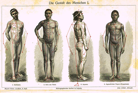 Meyers Lexicon - "DIE GESTALT DES MENSCHEN I - BODIES (MEDICAL)" - Lithograph - 1913