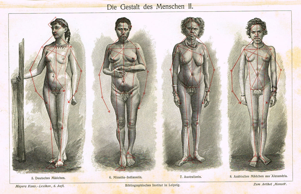 Meyers Lexicon - "DIE GESTALT DES MENSCHEN I - BODIES WOMEN (MEDICAL)" - Lithograph - 1913
