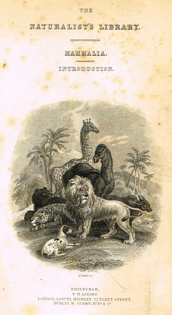 Jardine's Animals - "FRONTISPIECE - WILD ANIMALS" - Hand-Colored Engraving - 1833