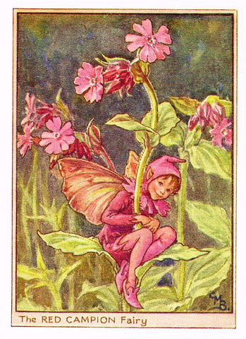 Cicely Barker's Fairy Print - "THE RED CAMPION FAIRY" - Children's Lithogrpah - c1935