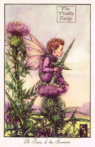 Cicely Barker's Fairy Print - "THE THISTLE FAIRY" - LARGE Children's Lithogrpah - c1955