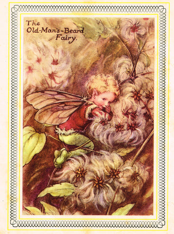 Cicely Barker's Fairy Print - "THE OLD MAN'S BEARD FAIRY" - LARGE Children's Lithogrpah - c1955