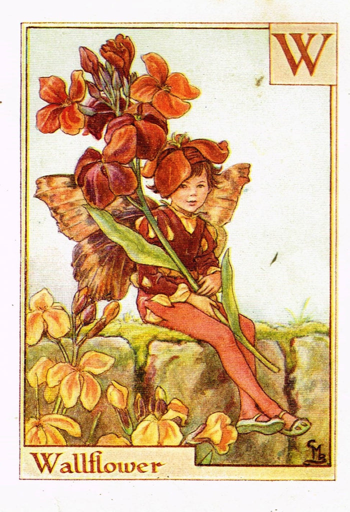 Cicely Barker's Fairy Print - "WALLFLOWER" - Children's Lithogrpah - c1935