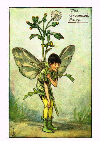 Cicely Barker's Fairy Print - "THE GROUNDSEL FAIRY" - Children's Lithogrpah - c1935