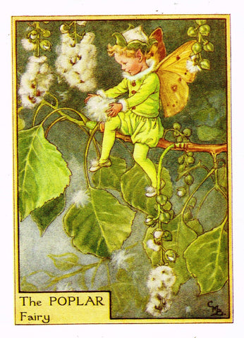 Cicely Barker's Fairy Print - "THE POPLAR FAIRY" - Children's Lithogrpah - c1935