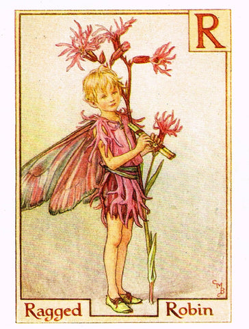 Cicely Barker's Fairy Print - "RAGED ROBIN" - Children's Lithogrpah - c1935