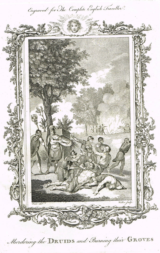 Antique History Print - "MURDERING THE DRUIDS AND BURNING THEIR GROVES" - Copper Engraving - 1793