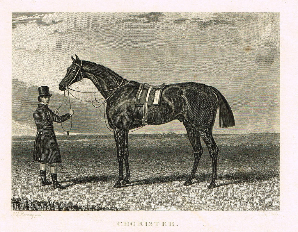 Ackermann's Sporting Magazine - HORSES - "CHORISTER" - Steel Engraving - c1838 - Sandtique-Rare-Prints and Maps
