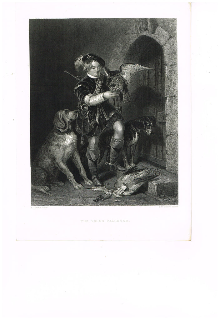 Art Journal's - "THE YOUNG FALCONER"  by Ward - Steel Engraving - c1860