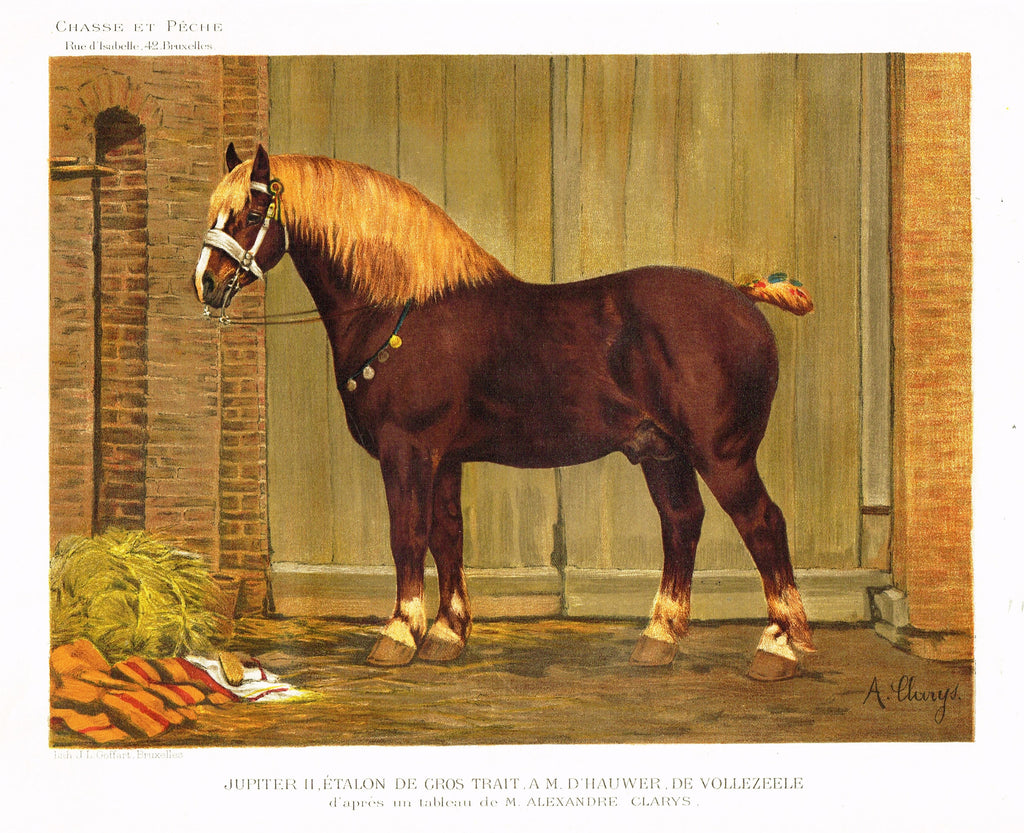 Chasse & Peche Horse - "JUPITER II, ETALON DE GROS TRAIT" - Chromo - c1890