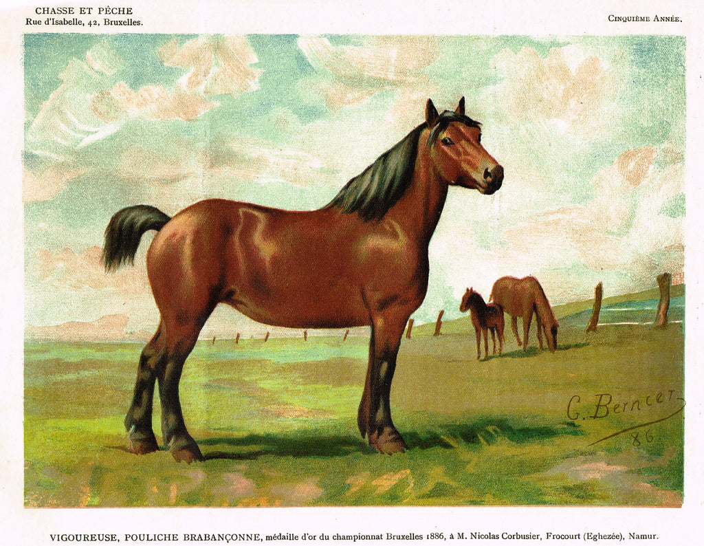 Chasse & Peche Horse - "VIGOUREUSE, POULICHE" - Chromo - c1890