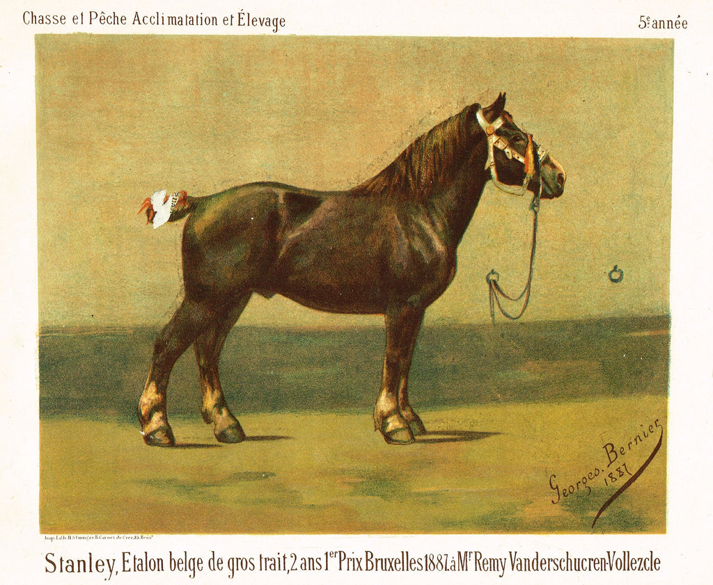 Chasse & Peche Horse - "STANLEY, EATON BELGE DE GROS" - Chromo - c1890