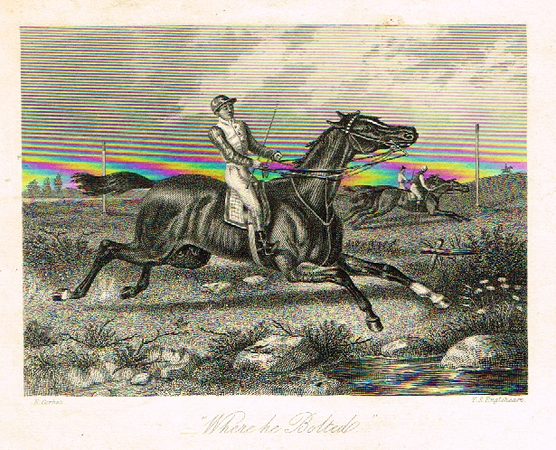 Sporting Magazine - "WHERE HE BOLTED" (HORSE RACING) - Engraving - c1865