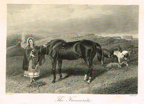 Sporting Magazine - "THE FAVORITE" (HORSE RACING) - Engraving - c1865