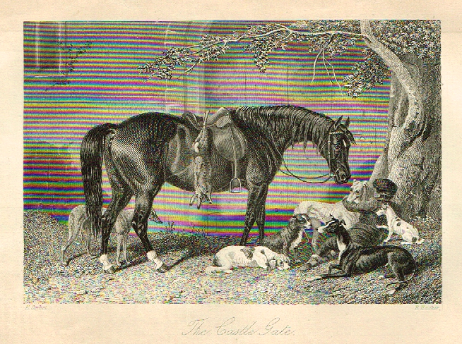Sporting Magazine - "THE CASTLE GATE"  (HUNTING) - Engraving - c1865