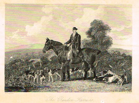Sporting Magazine - "THE CLANDON HARRIERS"  (FOX HUNTING) - Engraving - c1865