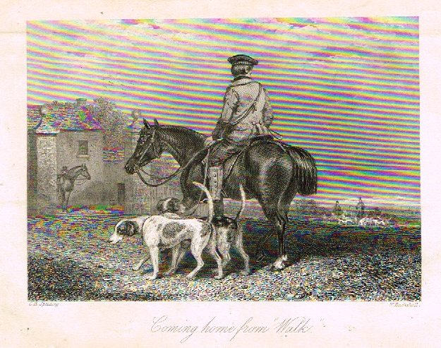 Sporting Magazine - "COMING HOME FROM WALK"  (FOX HUNTING) - Engraving - c1865