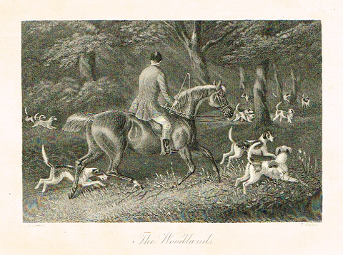 Sporting Magazine - "THE WOODLANDS"  (FOX HUNTING) - Engraving - c1865