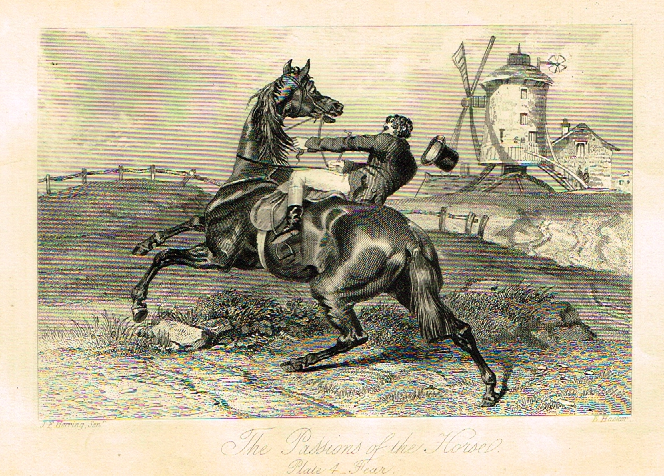 Sporting Magazine - "THE PASSION OF THE HORSE"  (HORSES) - Engraving - c1865