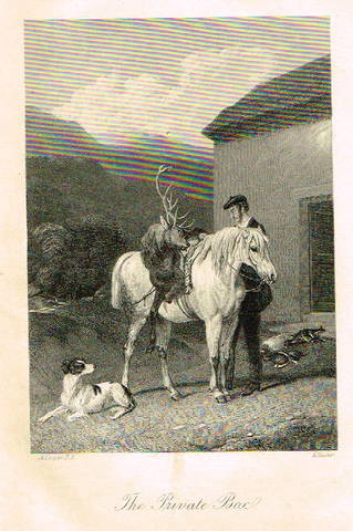 Sporting Magazine - "THE PRIVATE BAX"  (HUNTING) - Engraving - c1865