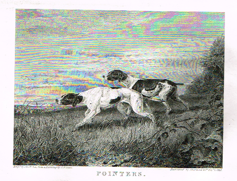 Landseer's Dogs - "POINTERS" - Copper Engraving - 1825