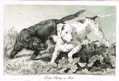 Landseer's Dogs - "DOGS SETTING A HARE" - Copper Engraving - 1825