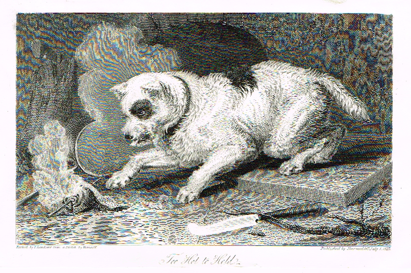 Landseer's Dogs - "TOO HOT TO HOLD" - Copper Engraving - 1825