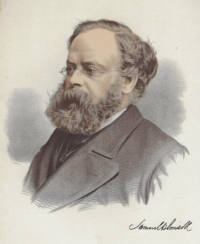 National Portrait Gallery - SAMUEL PLIMSOLL -  Col. Lithograph - 1874