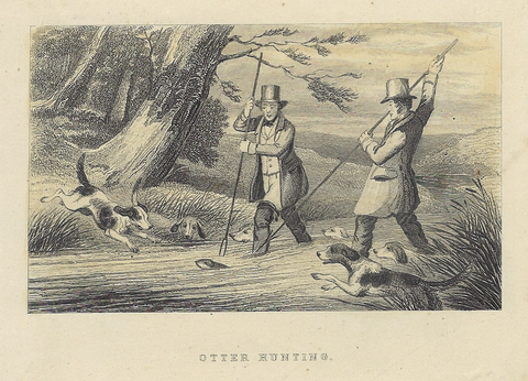 OTTER HUNTING